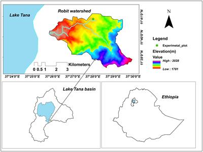 Enhancing irrigated forage crop production through water and nutrient management in the Ethiopian sub-humid highlands